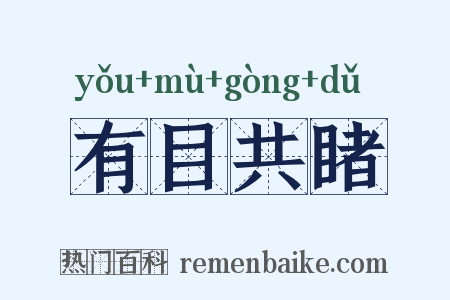 有目共睹是什么意思的图片